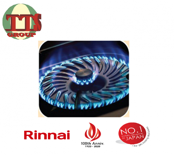 TTS -RINNAI TURNADO BURNER TABLE TOP GAS STOVE RI-602HTB TTS DISTRIBUTION SDN BHD - 图片 2